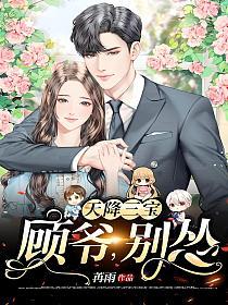 天降三宝：顾爷，别怂的封面