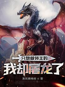 只想做领主的我却屠龙了的封面