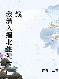 我潜入缅北生死一线的封面