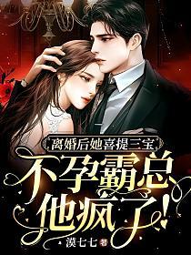 离婚后她喜提三宝，不孕霸总他疯了！的封面