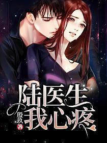 陆医生我心疼的封面
