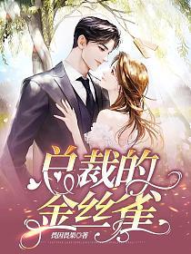 总裁的金丝雀的封面