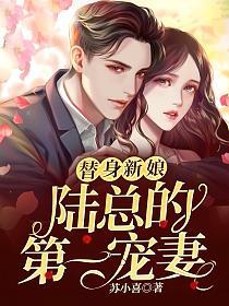 替身新娘：陆总的第一宠妻的封面