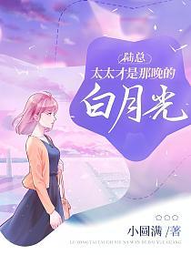 陆总，太太才是那晚的白月光(陆景墨、 叶佳禾)的封面图