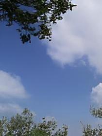 一个选择题的封面