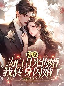 陆总为白月光悔婚,我转身闪婚了的封面