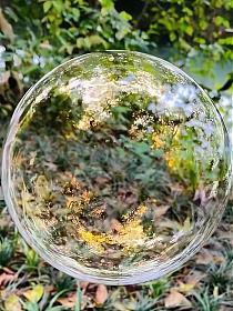 文字人生_1686409807的封面