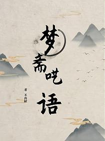 梦斋呓语的封面