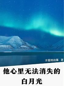 无法消失的白月光的封面