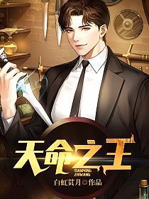 天命之王的封面