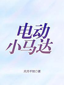 电动小马达的封面