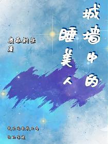 城墙中的睡美人的封面