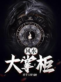 风水大掌柜的封面