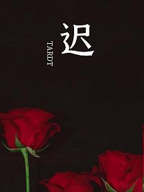 迟的封面图