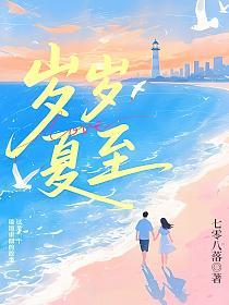 岁岁夏至的封面