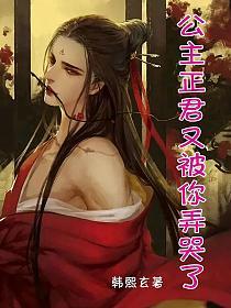 公主，正君又被你弄哭了的封面