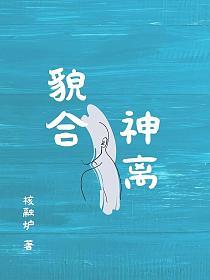 貌合神离的封面图