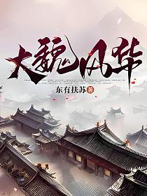 大魏风华的封面
