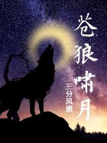 苍狼啸月