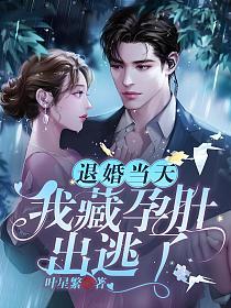 退婚当天，我藏孕肚出逃了的封面