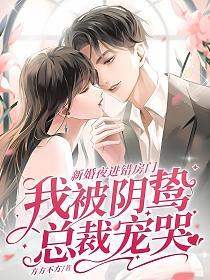 新婚夜进错房门，我被阴鸷总裁宠哭的封面