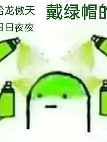 给龙傲天戴绿帽的日日夜夜的封面
