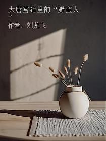 大唐宫廷里的“野蛮人”的封面