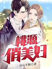 桃源俏美妇的封面