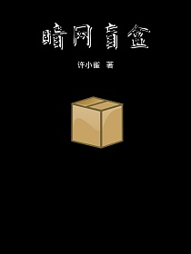 暗网盲盒的封面