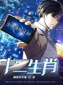 十二生肖的封面图