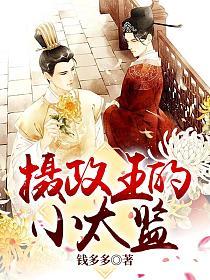 摄政王的小太监的封面