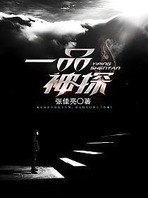 一品神探的封面