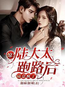 惊!陆太太跑路后,陆总疯了(傅黎、陆烬)的封面图