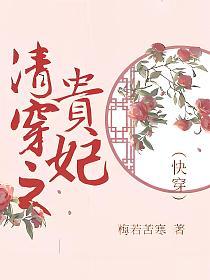 清穿之贵妃（快穿）的封面