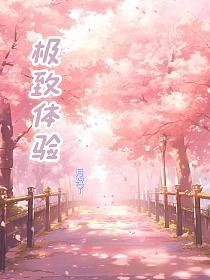 极致体验的封面