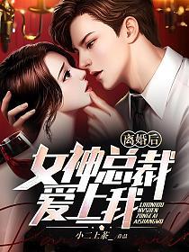 离婚后,女神总裁爱上我(陈凡、宋轻烟)的封面图