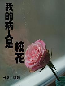 我的病人是校花的封面