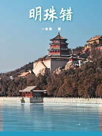 明珠错的封面图