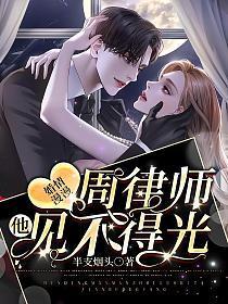 婚情漫漫，周律师他见不得光的封面