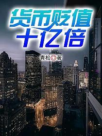 货币贬值十亿倍的封面