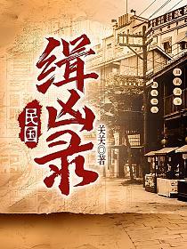 民国缉凶录的封面