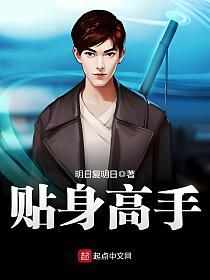 贴身高手的封面