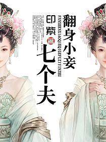 翻身小妾七个夫的封面