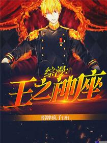 综漫：王之神座的封面