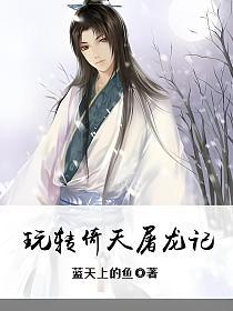 玩转倚天屠龙记的封面