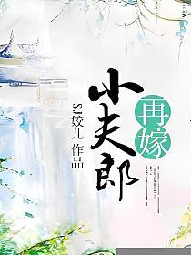 再嫁小夫郎的封面