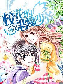 校花的恶魔少爷的封面