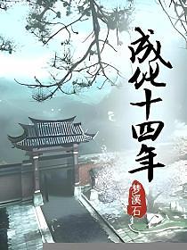 成化十四年的封面