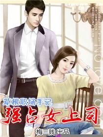 草根职场手记的封面