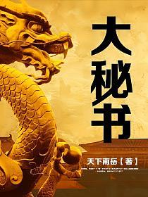 大秘书的封面